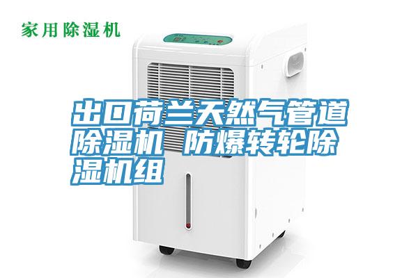 出口荷兰天然气管道小黄片直播视频 防爆转轮小黄片直播视频组