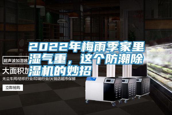 2022年梅雨季家里湿气重，这个防潮小黄片直播视频的妙招