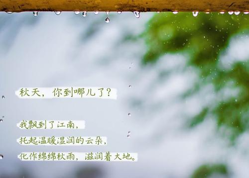 “无晴”阴雨天 “有晴”小黄片直播视频
