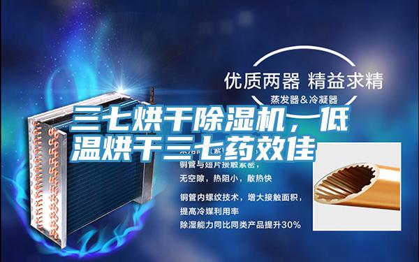 三七烘干小黄片直播视频，低温烘干三七药效佳