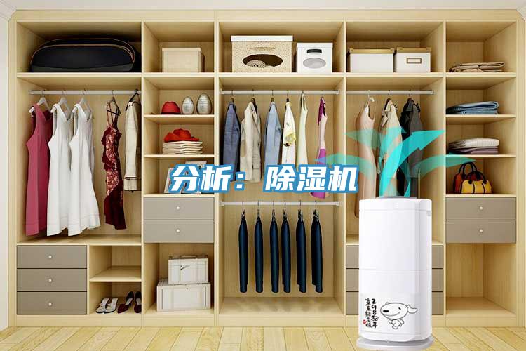 分析：小黄片直播视频