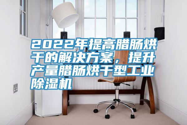 2022年提高腊肠烘干的解决方案，提升产量腊肠烘干型工业小黄片直播视频