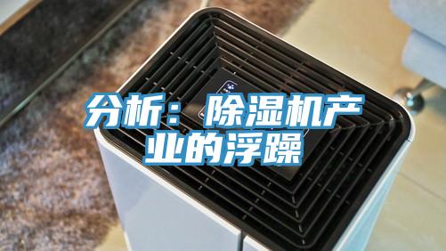 分析：小黄片直播视频产业的浮躁