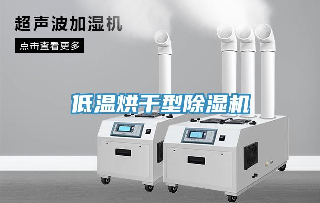低温烘干型小黄片直播视频