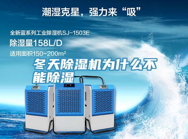 冬天小黄片直播视频为什么不能除湿