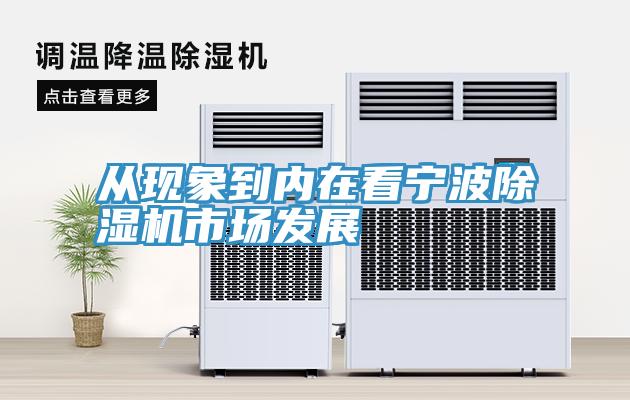 从现象到内在看宁波小黄片直播视频市场发展