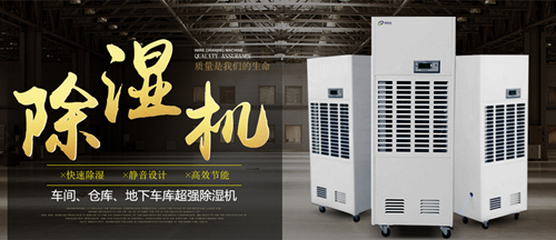 智能小黄片直播视频