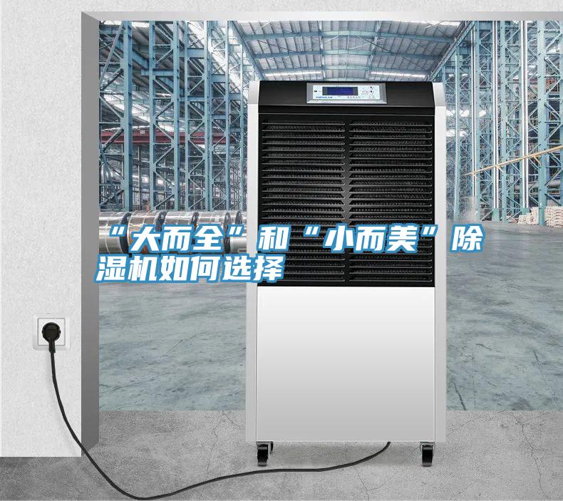 “大而全”和“小而美”小黄片直播视频如何选择