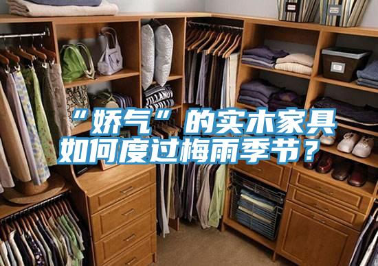 “娇气”的实木家具如何度过梅雨季节？