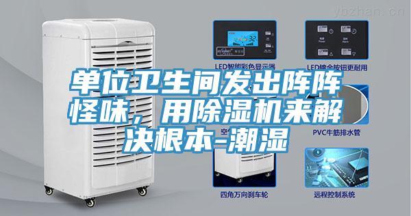 单位卫生间发出阵阵怪味，用小黄片直播视频来解决根本-潮湿