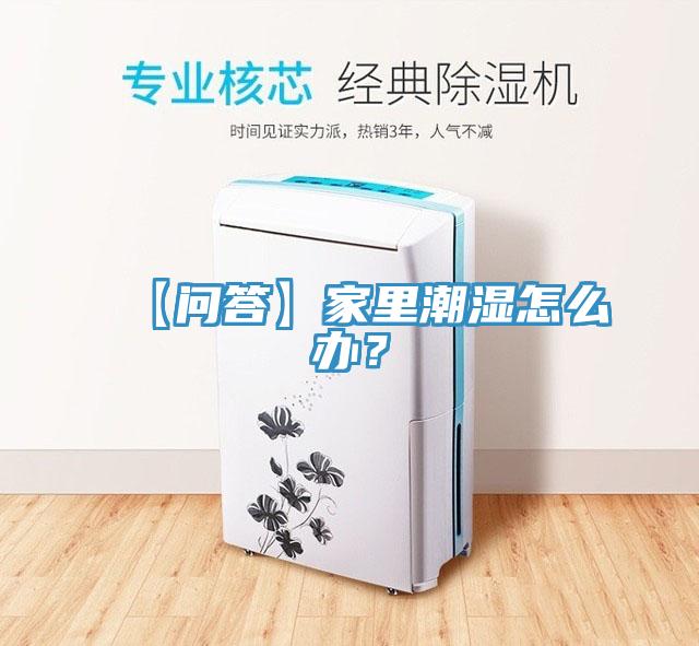 【问答】家里潮湿怎么办？