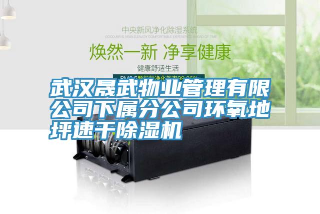武汉晟武物业管理有限公司下属分公司环氧地坪速干小黄片直播视频