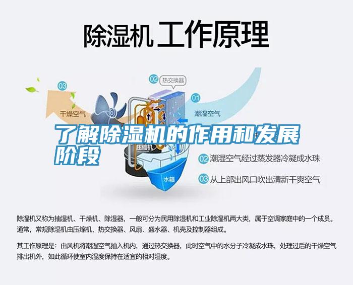 了解小黄片直播视频的作用和发展阶段
