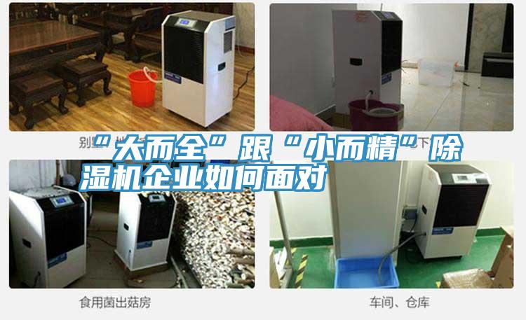 “大而全”跟“小而精”小黄片直播视频企业如何面对