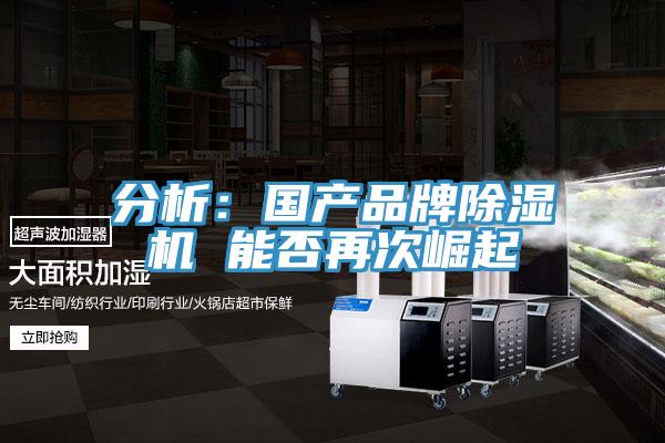 分析：国产品牌小黄片直播视频 能否再次崛起