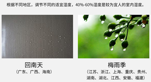 防潮小黄片直播视频