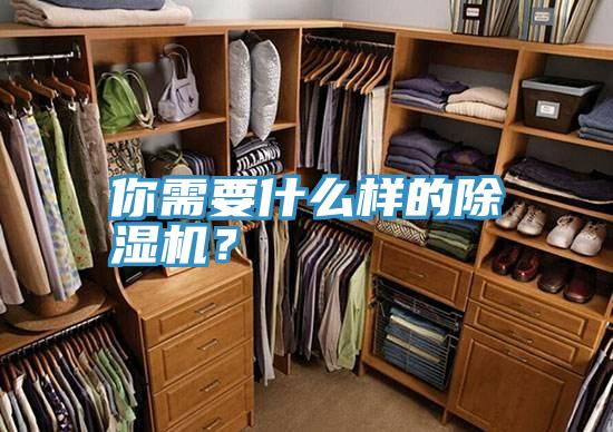 你需要什么样的小黄片直播视频？