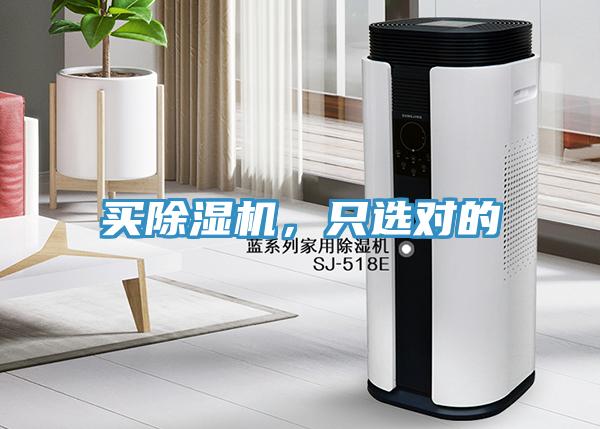 买小黄片直播视频，只选对的