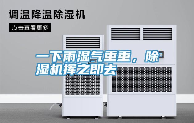 一下雨湿气重重，小黄片直播视频挥之即去