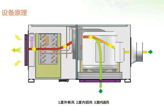 新风小黄片直播视频