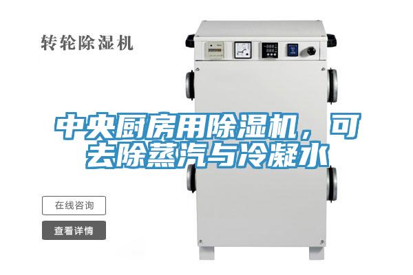 中央厨房用小黄片直播视频，可去除蒸汽与冷凝水