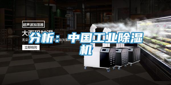 分析：中国工业小黄片直播视频