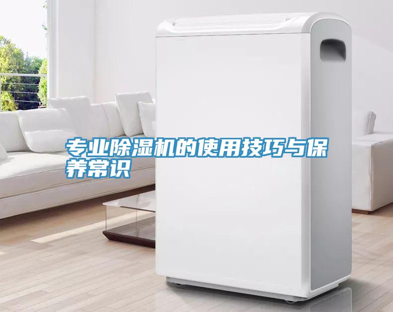 专业小黄片直播视频的使用技巧与保养常识
