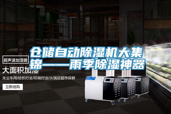 仓储自动小黄片直播视频大集锦——雨季除湿神器