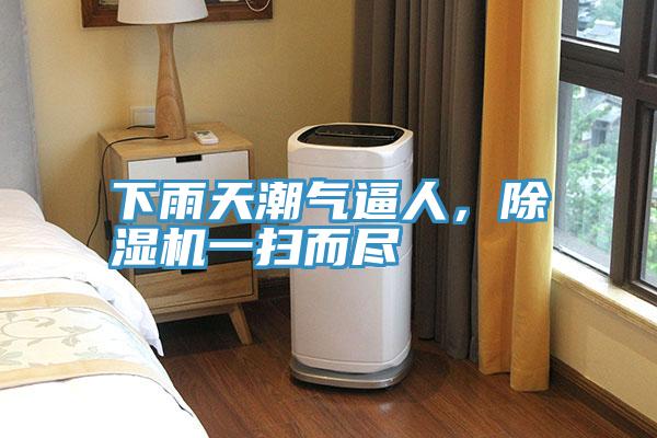 下雨天潮气逼人，小黄片直播视频一扫而尽