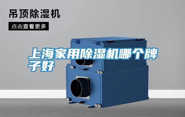 上海家用小黄片直播视频哪个牌子好