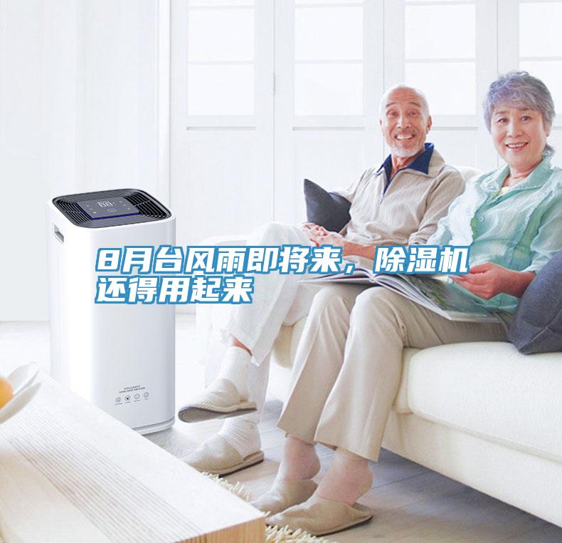 8月台风雨即将来，小黄片直播视频还得用起来