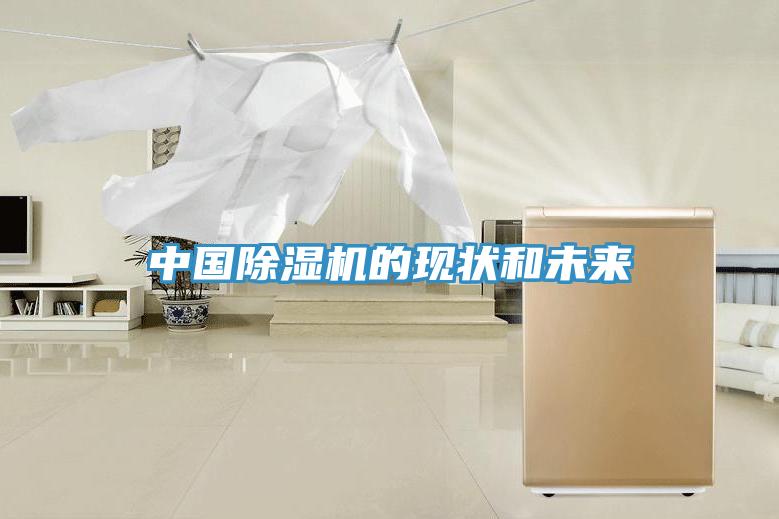 中国小黄片直播视频的现状和未来