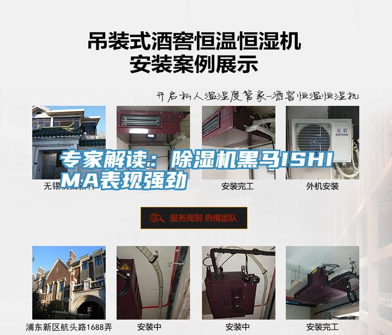 专家解读：小黄片直播视频黑马ISHIMA表现强劲