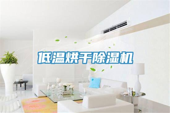 低温烘干小黄片直播视频
