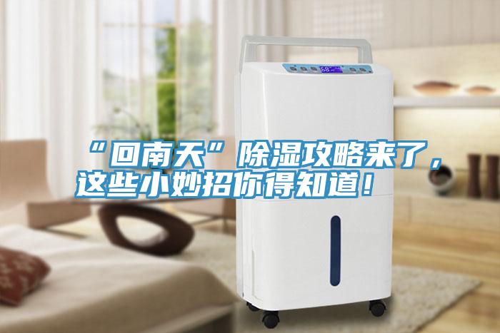 “回南天”除湿攻略来了，这些小妙招你得知道！