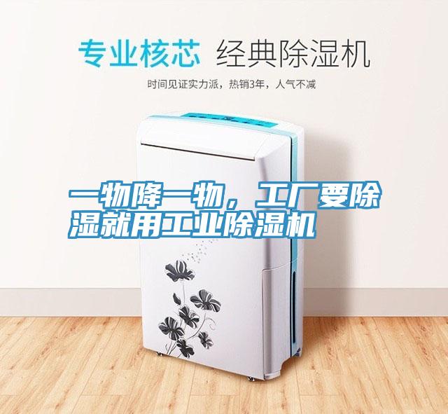 一物降一物，工厂要除湿就用工业小黄片直播视频