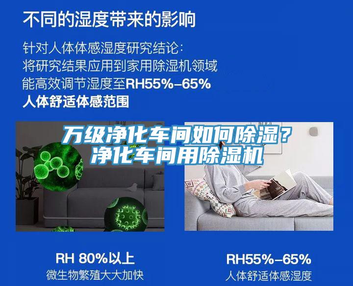 万级净化车间如何除湿？净化车间用小黄片直播视频