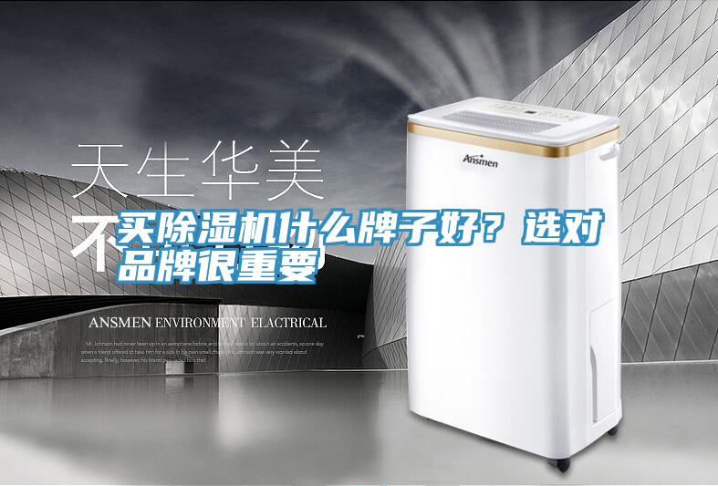 买小黄片直播视频什么牌子好？选对品牌很重要