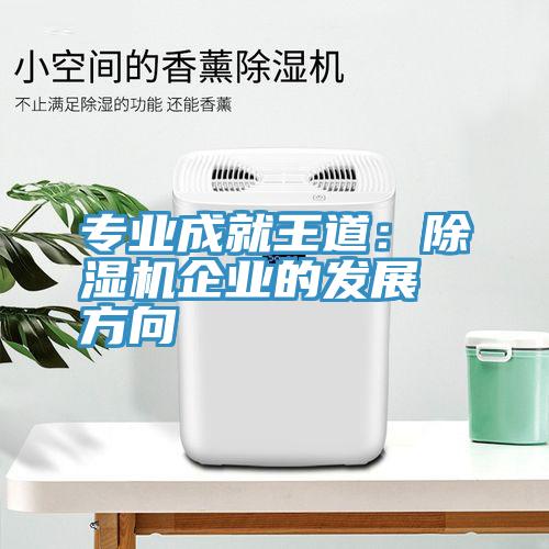 专业成就王道：小黄片直播视频企业的发展方向