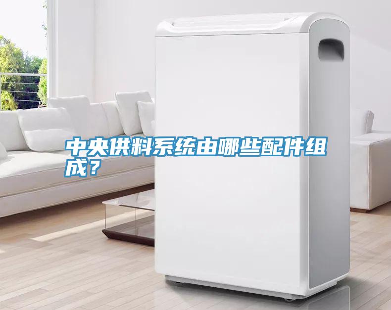 中央供料系统由哪些配件组成？