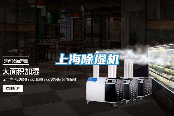 上海小黄片直播视频