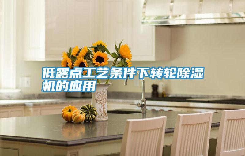 低露点工艺条件下转轮小黄片直播视频的应用