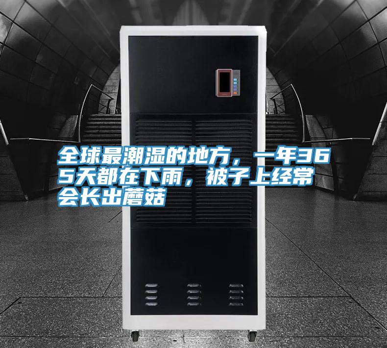全球最潮湿的地方，一年365天都在下雨，被子上经常会长出蘑菇