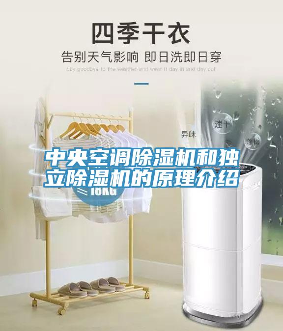 中央空调小黄片直播视频和独立小黄片直播视频的原理介绍