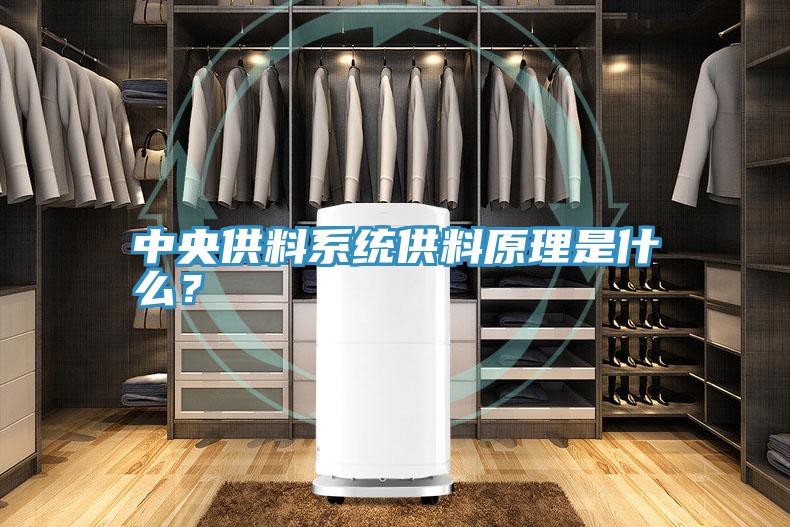 中央供料系统供料原理是什么？