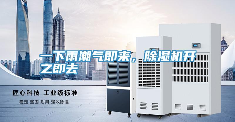 一下雨潮气即来，小黄片直播视频开之即去