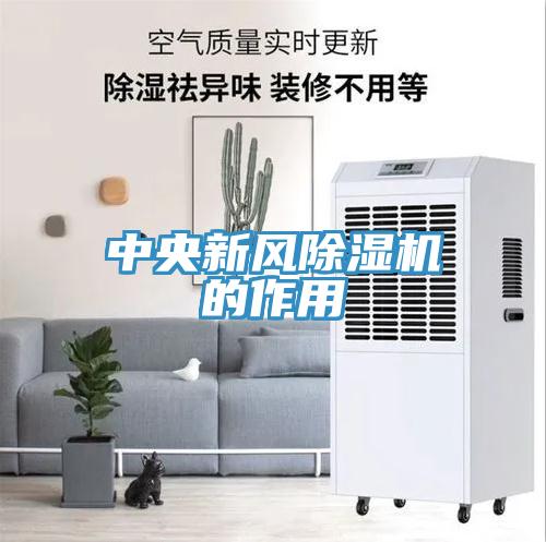中央新风小黄片直播视频的作用