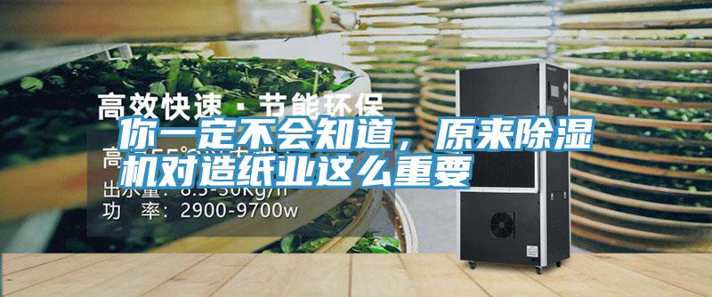 你一定不会知道，原来小黄片直播视频对造纸业这么重要