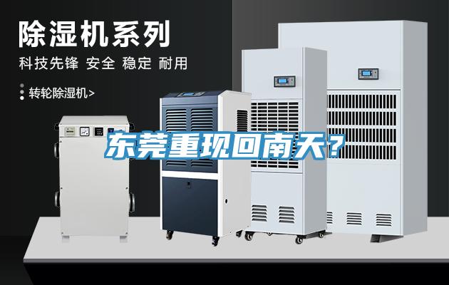 东莞重现回南天？