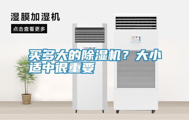 买多大的小黄片直播视频？大小适中很重要